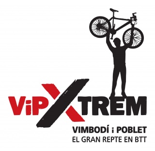 Logo ViP